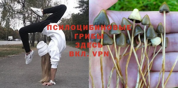 марки nbome Корсаков