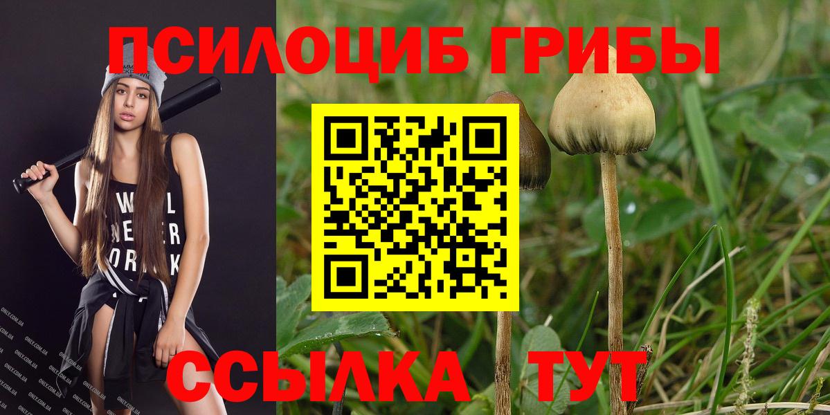 Псилоцибиновые грибы Psilocybe  Псилоцибиновые грибы Magic Shrooms  Ханты-Мансийск  Вход с VPN 