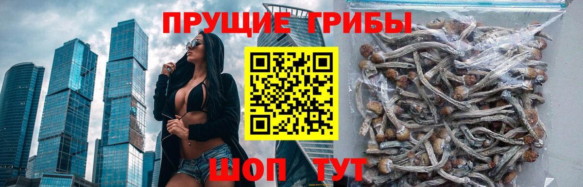 Псилоцибиновые грибы GOLDEN TEACHER  Ханты-Мансийск  Псилоцибиновые грибы MAGIC MUSHROOMS 